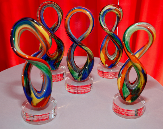 PR_Council_diversity_awards_0184